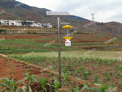 果園太陽(yáng)能殺蟲(chóng)燈